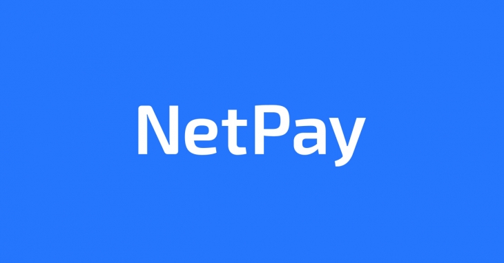 Net Pay Mini